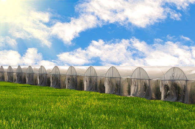 Ferme de jardin potager bio hydroponique à effet de serre contre le ciel bleu avec des rizières.