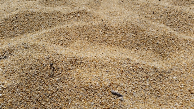 Fermé jusqu&#39;à la plage de sable