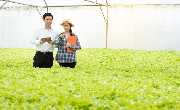 Ferme de légumes biologiques, les agriculteurs asiatiques inspectent les légumes biologiques dans la ferme