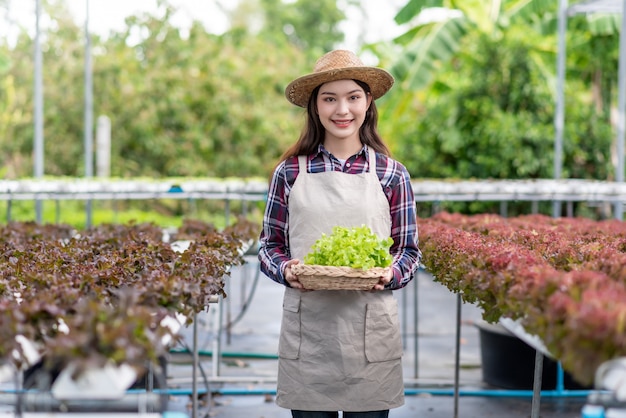 Ferme maraîchère hydroponique. Heureuse jeune femme asiatique tenant un panier de légumes bio qu'elle s'est planté.