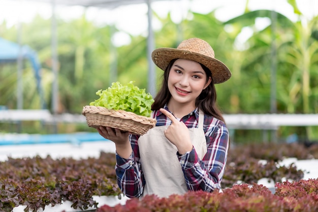 Ferme maraîchère hydroponique. Heureuse jeune femme asiatique tenant un panier de légumes bio qu'elle s'est planté.