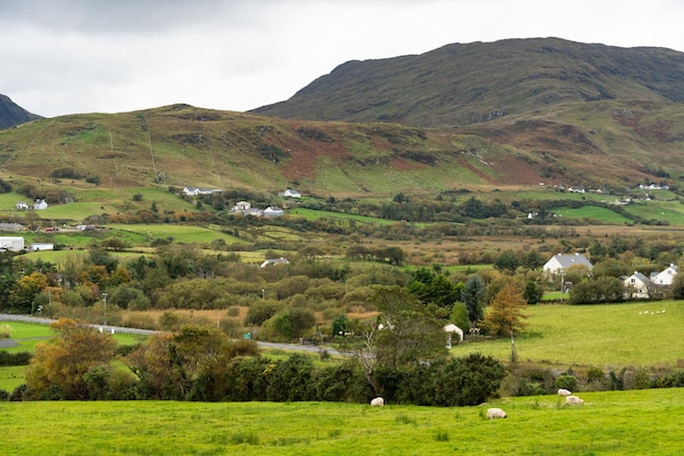 Une ferme à la montagne avec une maison au loin