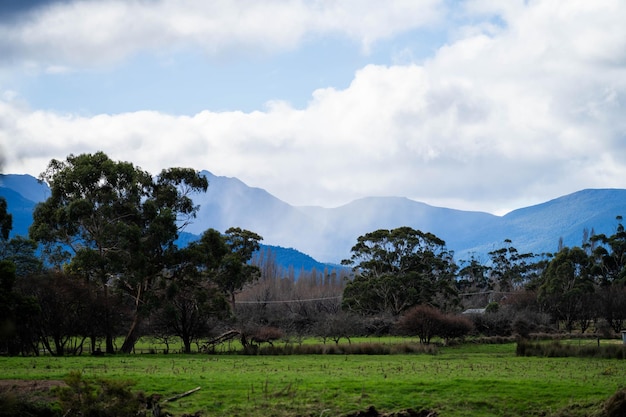 ferme avec montagnes et rivière en australie au printemps