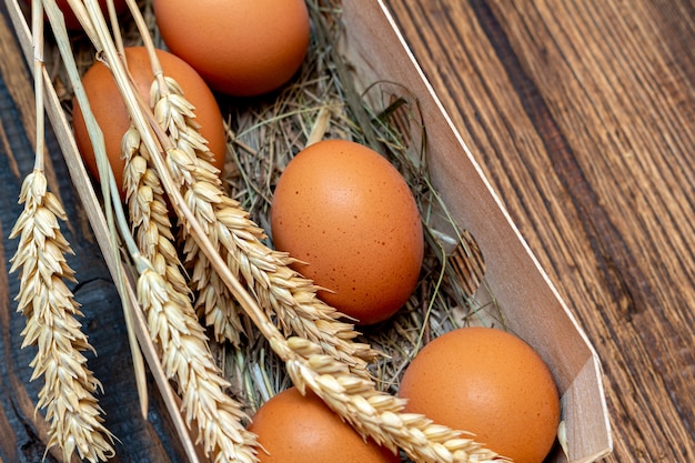 Ferme oeufs bruns avec de la paille en écorce de bouleau boîte fond en bois close-up