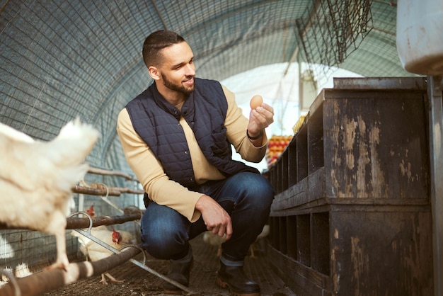 Ferme d'œufs de poule ou homme vérifie le produit agricole pour le contrôle de la qualité l'inspection des produits d'oiseaux ou la production de la récolte Durabilité de la grange à volaille de campagne ou agriculteur travaillant dans un ranch d'élevage d'animaux