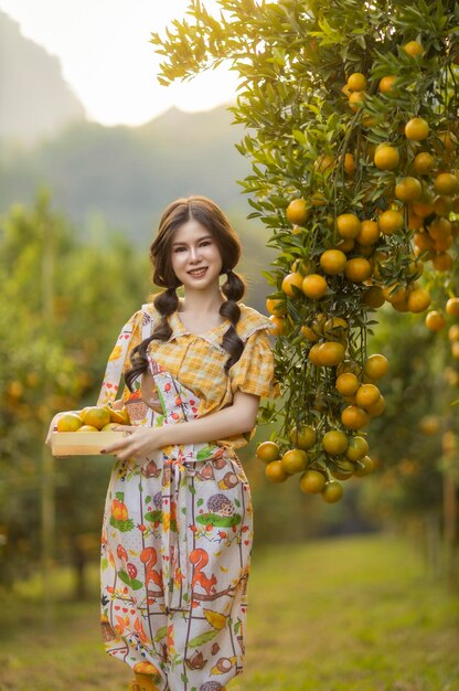 Photo ferme orange asiatique dans le nord de la thaïlande.