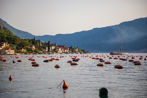 Ferme ostréicole dans la baie de kotor monténégro