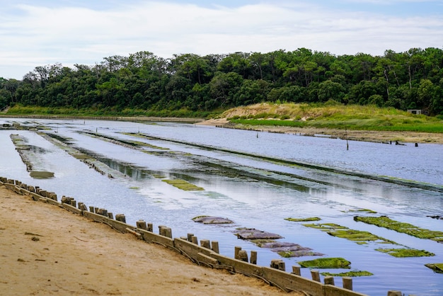 Ferme Ostréicole De Moules Sur La Côte Ouest De La Mer De L'atlantique à Talmont France