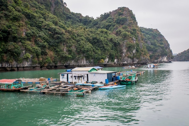 Ferme piscicole flottante dans la baie d'ha long au vietnam Femme vietnamienne marchant sur une ferme piscicole production de poissons et crustacés dans la mer