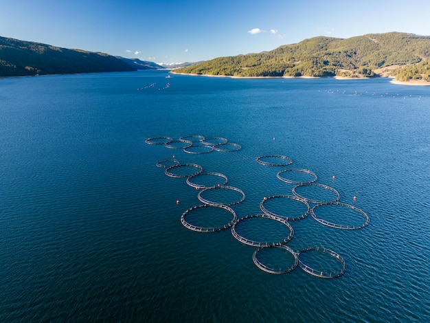 Ferme piscicole saumonée dans la vue aérienne de la rivière