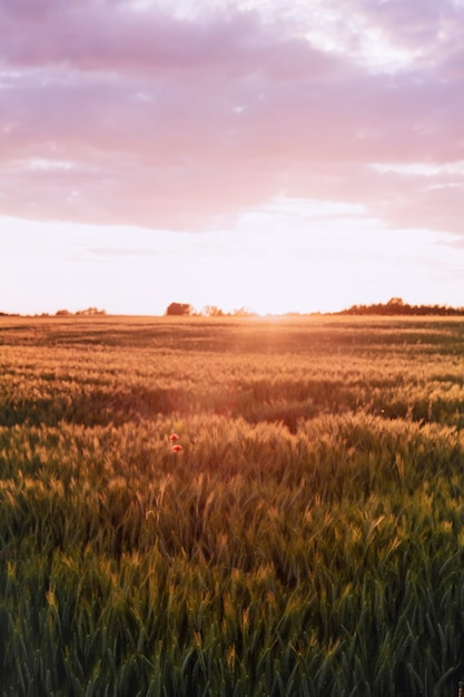 Ferme rurale pendant le coucher du soleil