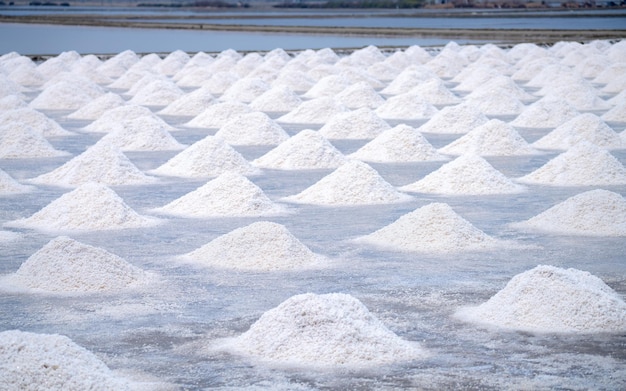 Ferme de sel de mer Tas de sel de saumure Matière première de sel industriel Évaporation minérale de chlorure de sodium
