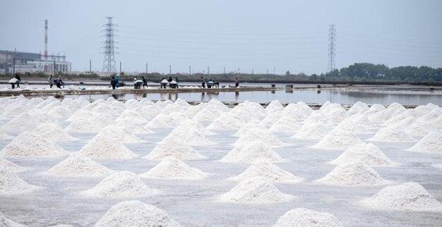 Ferme de sel de mer en Thaïlande Sel de saumure Matière première du sel industriel Évaporation du chlorure de sodium
