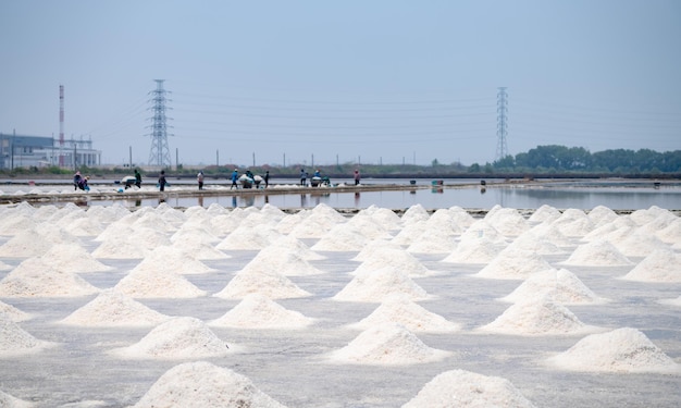 Ferme de sel de mer en Thaïlande Sel de saumure Matière première du sel industriel Évaporation du chlorure de sodium