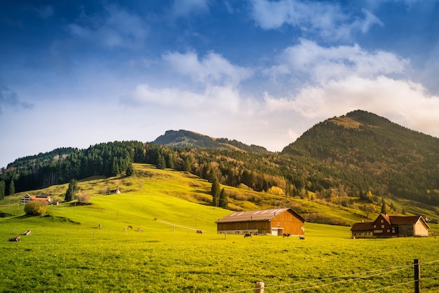 Ferme sur le terrain de montagne en Suisse