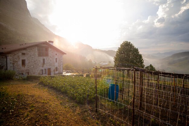 Ferme typique dans la zone rurale de la vallée d'atxondo avec des plants de haricots et de pommes de terre dans le potager la lumière du soleil au coucher du soleil après un jour de pluie