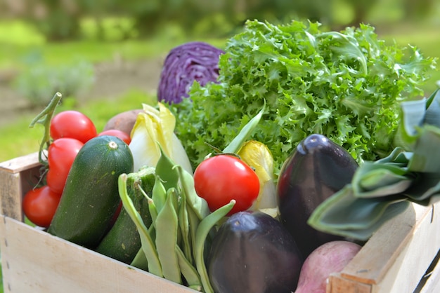 Fermer les légumes frais et colorés dans une caisse en plein air