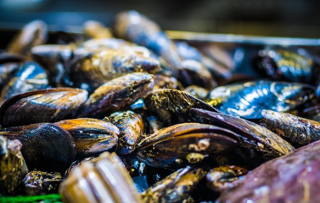 Fermer les moules sur le marché