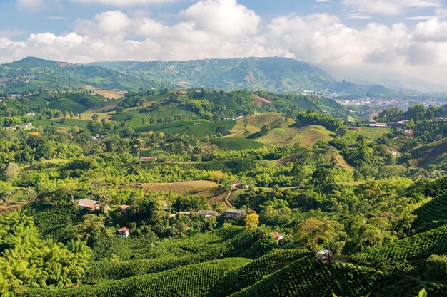 Les fermes de café colombiennes