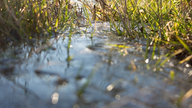 Fermez l&#39;herbe et l&#39;eau