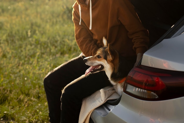 Fermez le propriétaire et le chien mignon avec la voiture