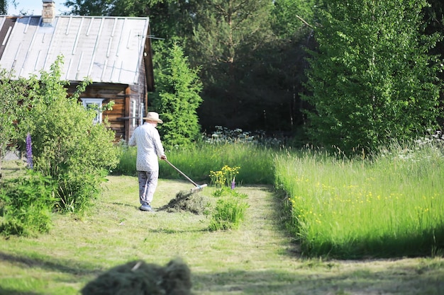 Un fermier âgé nettoie le foin coupé Un homme aux cheveux gris tond l'herbe dans le pré