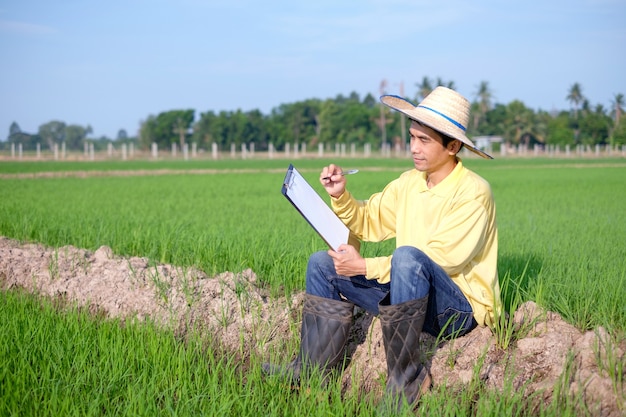 Un fermier asiatique porte une chemise jaune assis et écrit du papier à bord dans une ferme de riz vert.