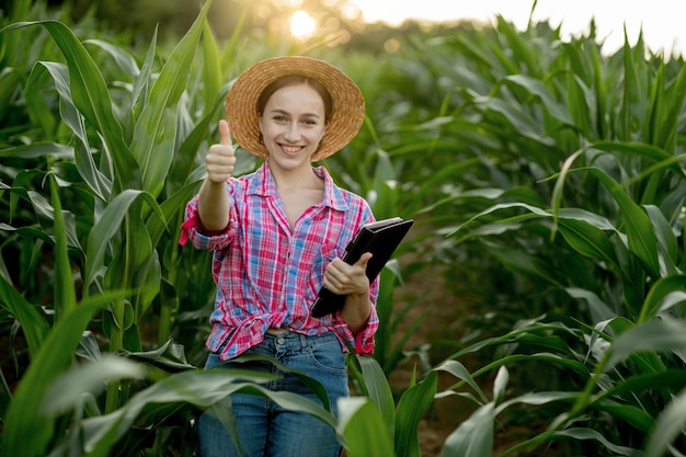 Fermier caucasien marchant dans un champ de maïs et examinant la récolte avant la récolte au coucher du soleil. Agriculture - production alimentaire, concept de récolte