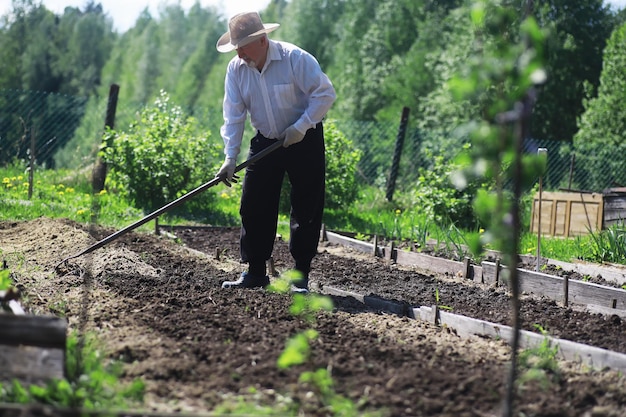 Le fermier creuse un jardin Un homme avec une moissonneuse laboure le jardin Le grand-père aux cheveux gris tond le jardin