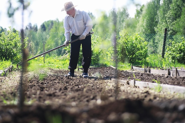 Le fermier creuse un jardin Un homme avec une moissonneuse laboure le jardin Le grand-père aux cheveux gris tond le jardin