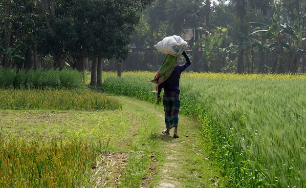 Photo le fermier du village rentre chez lui le long du chemin après avoir récolté les récoltes du champ scène de village au bangladeshvillage pangsha city rajbari photo prise le 2 février 2023