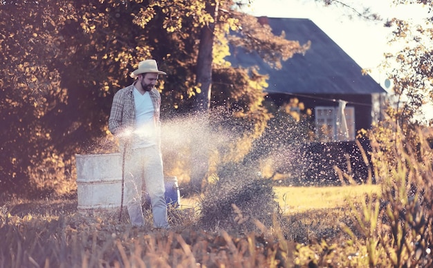 Fermier homme arrosant un potager le soir au coucher du soleil