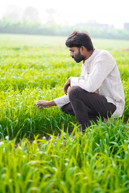 Fermier indien assis dans un champ agricole ou montrant son doigt