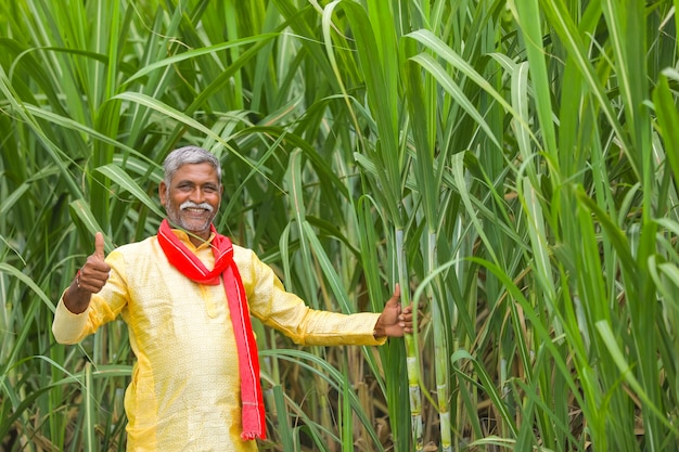 Fermier indien au champ de canne à sucre