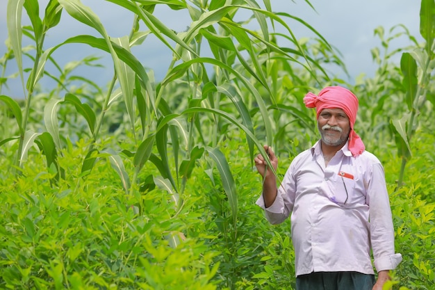 Fermier indien debout dans son champ