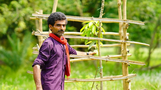 Fermier indien avec manguier dans la ferme