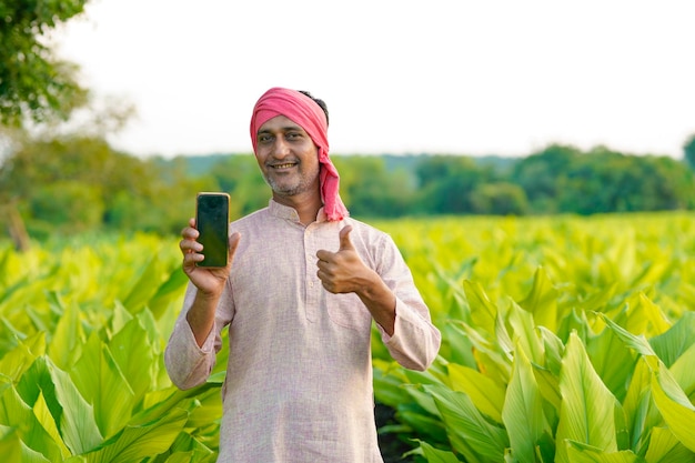 Fermier indien montrant un smartphone dans un champ de curcuma vert