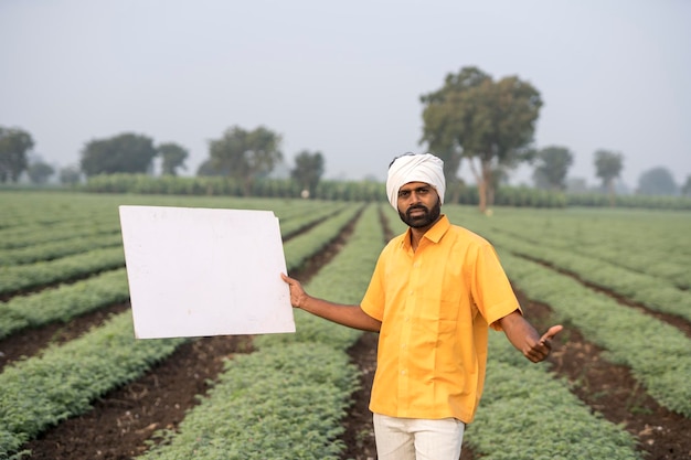 Fermier indien montrant un tableau blanc dans un champ agricole