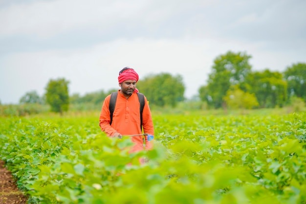 Fermier indien pulvérisant des pesticides dans un champ de coton.