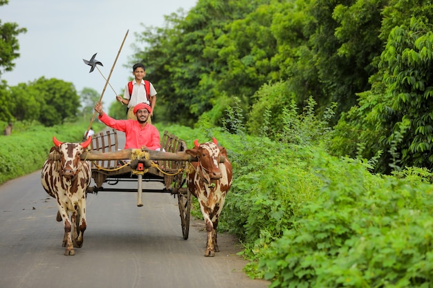 Fermier indien et son enfant sur charrette à bœufs