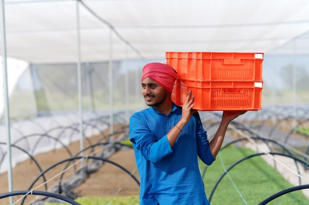 Fermier indien travaillant à la maison verte