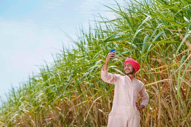 Fermier indien utilisant un smartphone dans un champ agricole de canne à sucre.