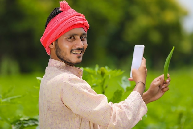 Fermier indien utilisant un smartphone sur le terrain agricole.