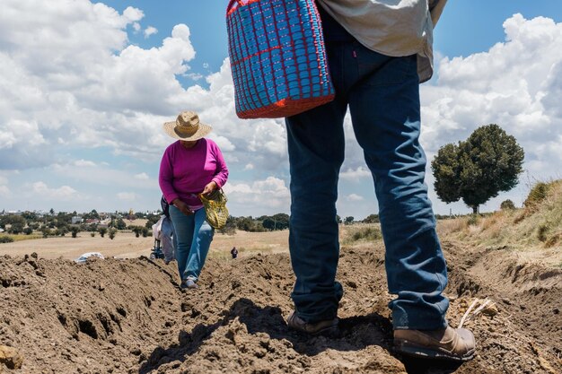 Fermier méconnaissable sur le terrain pendant la plantation du maïs