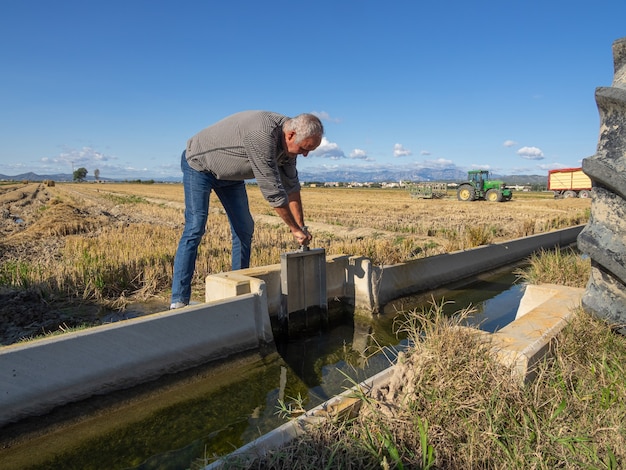 Fermier plus âgé soulevant une pelle d'irrigation dans une rizière. Tracteurs de récolte.