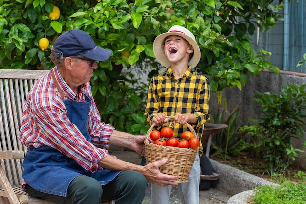 Fermier senior et jeune garçon tenant une récolte de tomates