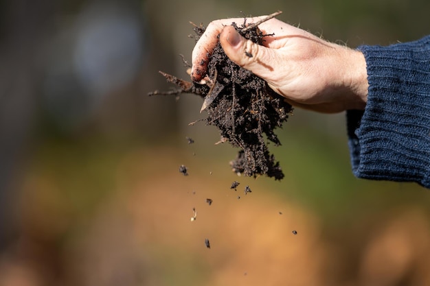 Un fermier tenant du sol dans sa main dans une ferme en Australie