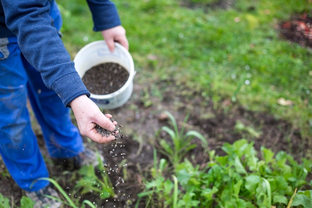 Fertiliser le jardin par un engrais bio granulaire