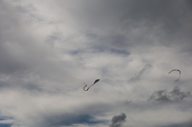 Le festival des cerfs-volants de San Francisco