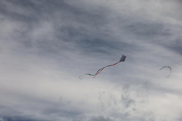 Le festival des cerfs-volants de San Francisco